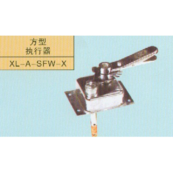 ����ִ����