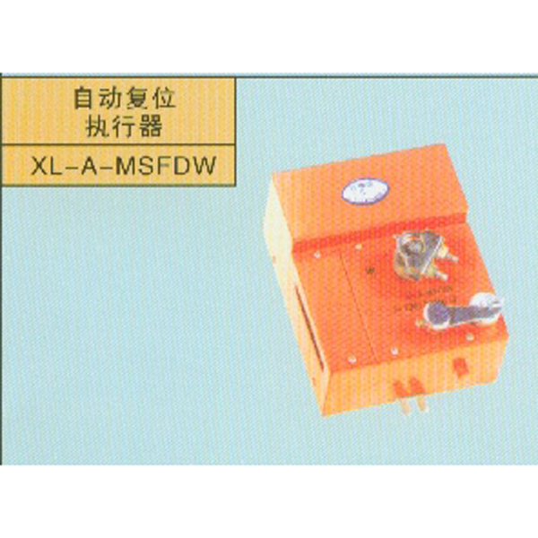 �Զ���λִ����