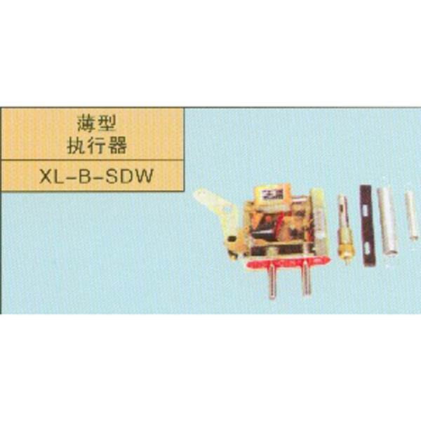 ����ִ����