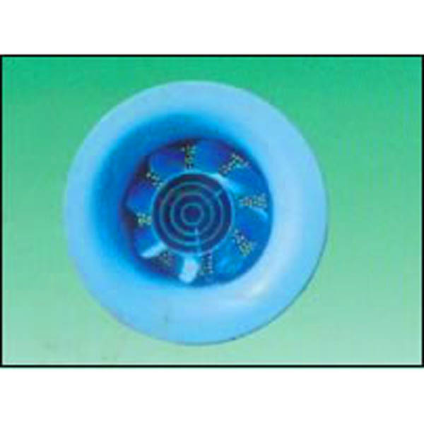 ����ɢ����