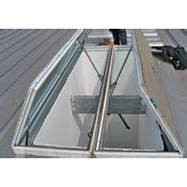 �ݸ�ʽ�綯������